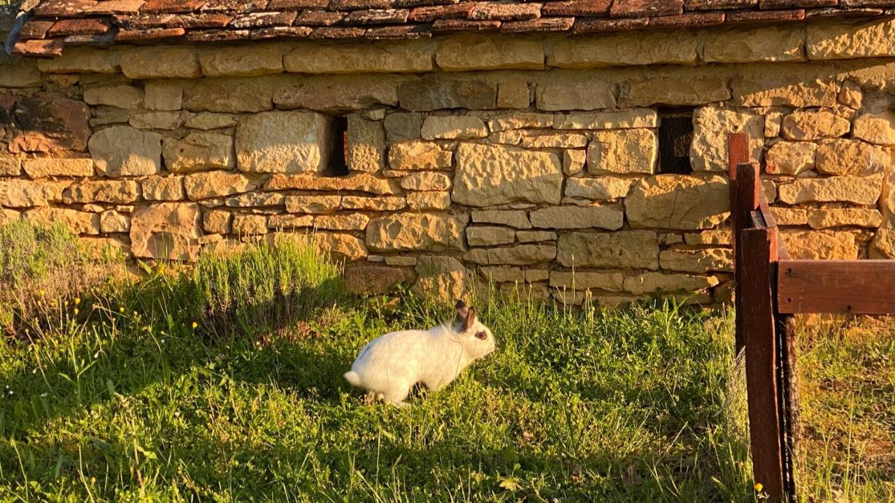 Eco-Hameau Du Sentier Des Sources Villa ซาร์ลา-ลา-กาเนดา ภายนอก รูปภาพ
